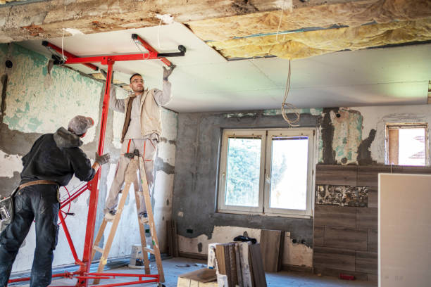 Best Cellulose Insulation in Little Ferry, NJ