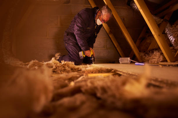 Best Eco-Friendly Insulation in Little Ferry, NJ